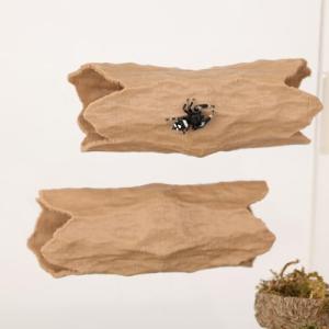 Jumping Spider Hide & Climbing Toy Cave