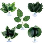 Small Reptile Plants with Suction Cups, 5-Pack