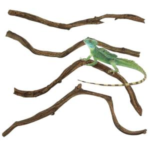 Natural Climbing Branches for Reptile Habitats - 4Pcs