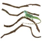 Natural Climbing Branches for Reptile Habitats - 4Pcs