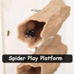 Jumping Spider Hide & Climbing Toy Cave