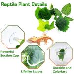 Small Reptile Plants with Suction Cups, 5-Pack