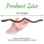Natural Climbing Branches for Reptile Habitats - 4Pcs