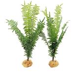 Fake Fern Plants for Reptile Terrariums and Tanks