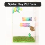 Jumping Spider Hide & Climbing Toy Cave