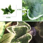 Small Reptile Plants with Suction Cups, 5-Pack