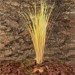 WOLEDOE Artificial Desert Grass for Reptile Habitats