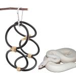 Ball Python Climbing Toy with 5 Rings