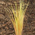 WOLEDOE Artificial Desert Grass for Reptile Habitats