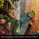 Bendable Reptile Vines with Suction Cups - 2 Pack