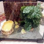 Fake Monstera Plants for Reptile Terrarium Decor