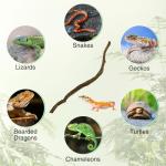 Natural Climbing Branches for Reptile Habitats - 4Pcs