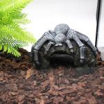 Reptile Rock Cave Hideout for Terrarium Decor