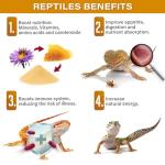 Bee Pollen for Healthy, Happy Reptiles