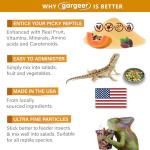 Bee Pollen for Healthy, Happy Reptiles
