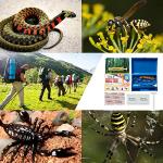 Emergency Snake and Bee Bite First Aid Kit