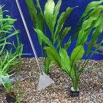 15in 4-in-1 Aquascaping Tools for Reptiles