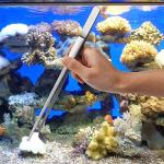 Fistoy 4-in-1 Aquascaping Tool Set for Reptiles