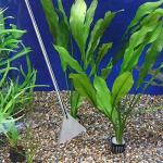 Fistoy 4-in-1 Aquascaping Tool Set for Reptiles