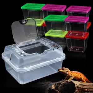 Clear Portable Insect Terrarium with Handle and Carriers
