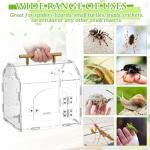 Teenyyou Jumping Spider Acrylic Terrarium Enclosure