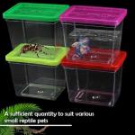 Clear Portable Insect Terrarium with Handle and Carriers