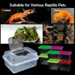 Clear Portable Insect Terrarium with Handle and Carriers