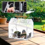 Teenyyou Jumping Spider Acrylic Terrarium Enclosure