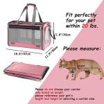 Soft-Sided Travel Carrier for Cats and Reptiles