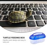 Reptile Feeding and Breeding Box with Handle