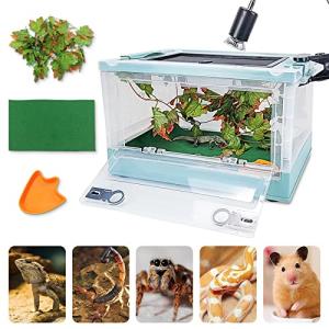 Portable Foldable Terrarium Kit for Reptiles