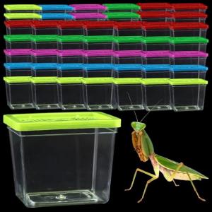 48 Pack Small Reptile Carrier and Breeding Box