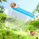 48 Pack Small Reptile Carrier and Breeding Box