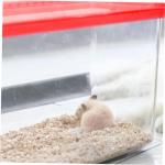 Transparent Reptile Carrier and Feeding Tank