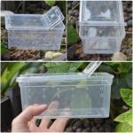 10-Pack Reptile Feeding Boxes for Small Pets
