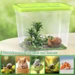 48 Pack Small Reptile Carrier and Breeding Box