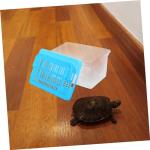 Transparent Reptile Carrier and Feeding Tank