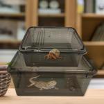 Reptile Feeding Box Set – 8 Portable Containers
