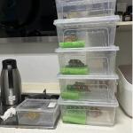 10-Pack Reptile Feeding Boxes for Small Pets