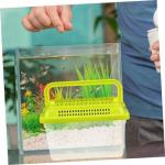 Transparent Reptile Carrier and Feeding Tank