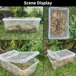 Reptile Feeding Box Set – 8 Portable Containers
