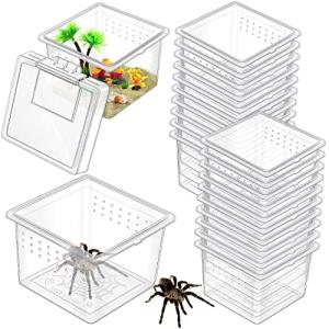 20 Pack Bug Breeding Box for Reptiles
