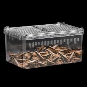 Breathable Reptile Tank for Hermit Crabs and More