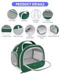 Portable Reptile Travel Carrier Bag - Green