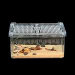 Breathable Reptile Tank for Hermit Crabs and More