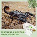 20 Pack Bug Breeding Box for Reptiles