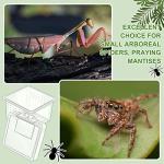 20 Pack Bug Breeding Box for Reptiles