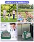 Portable Reptile Travel Carrier Bag - Green