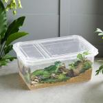 4-Pack Clear Feeding Boxes for Reptiles and Insects