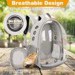 Bearded Dragon Carrier with Harness and Leash